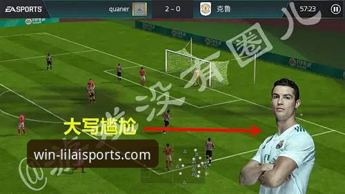 利来体育平台全面评测：官方网站登录体验与新手操作指南